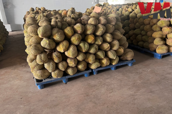 Nhựa Văn Minh bật mí kinh nghiệm chọn mua pallet nhựa siêu chất lượng